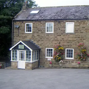The Firs &tea Summer Bridge